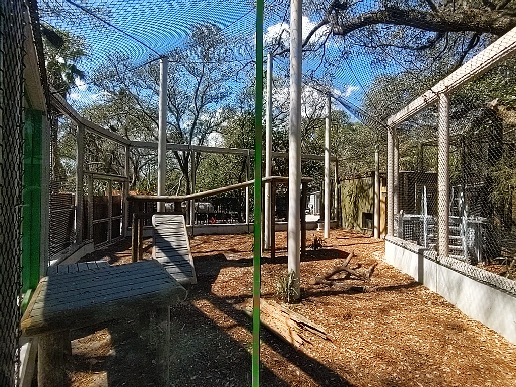 Long view of panther habitat #3