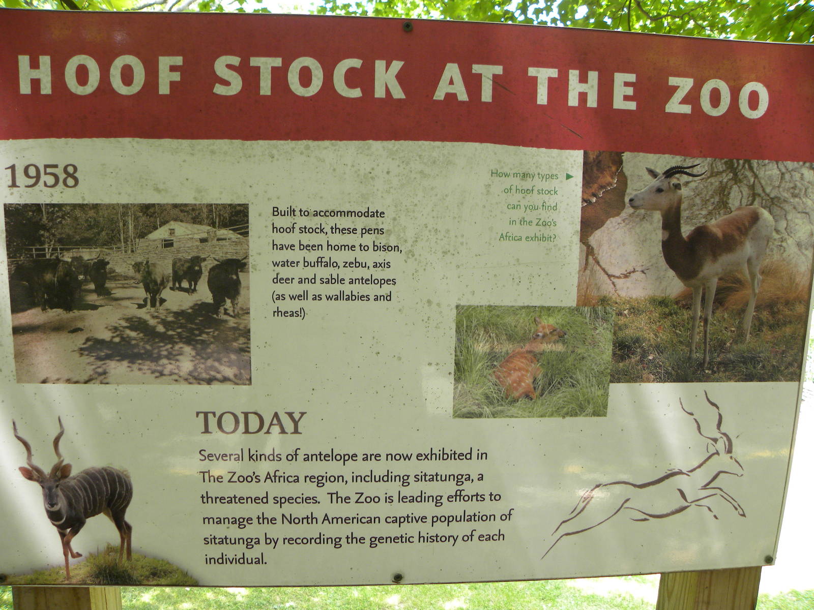 Long walk from exhibits to front