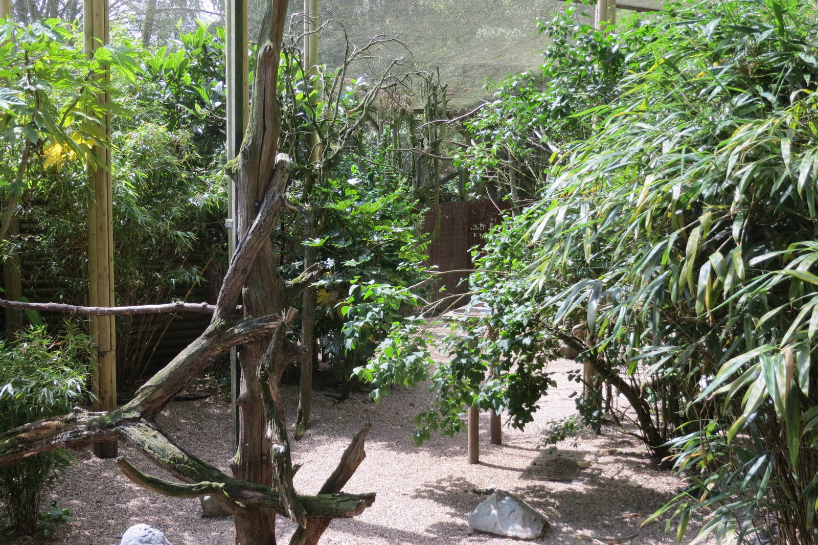 Longhouse Aviary 110715
