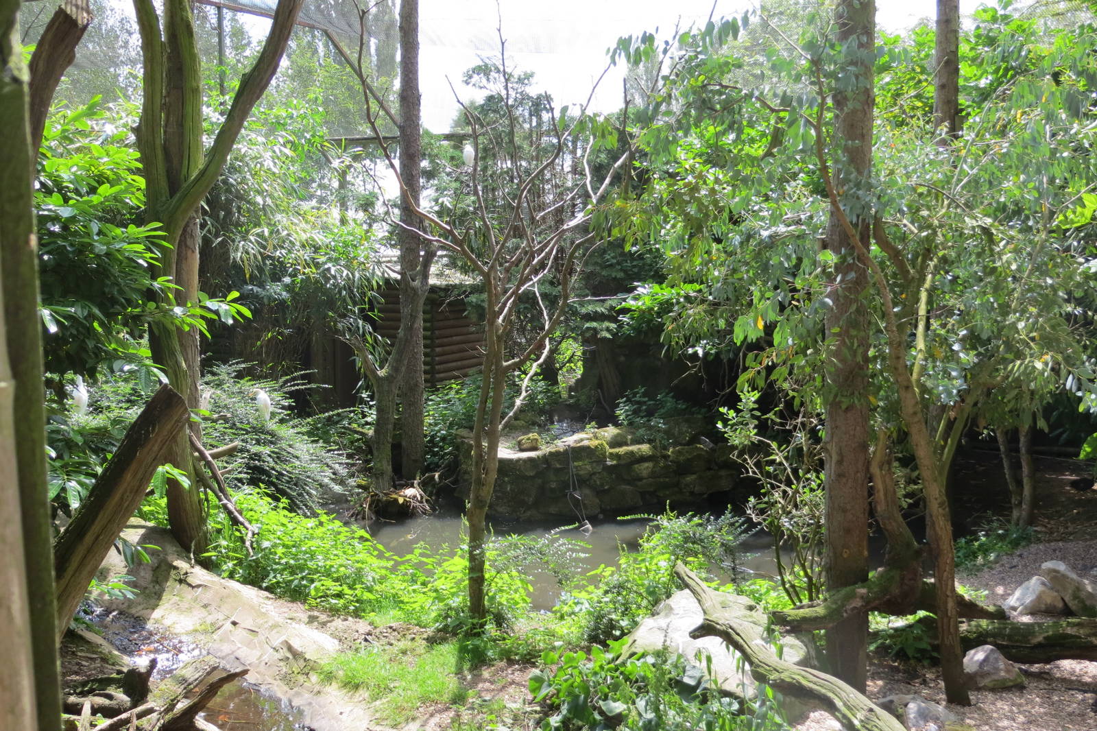 Longhouse Aviary 110715