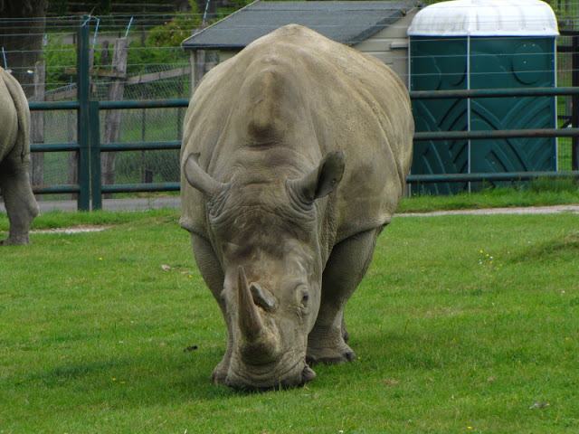 Longleat Safari & Adventure Park 29.05.2011
