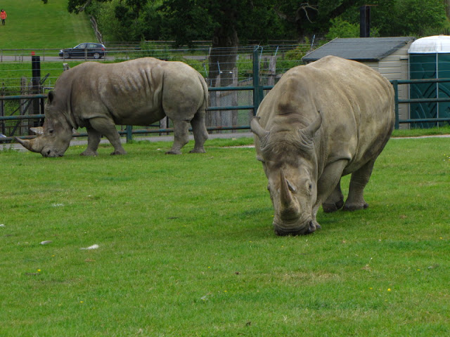 Longleat Safari & Adventure Park 29.05.2011