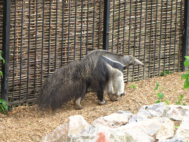 Longleat Safari & Adventure Park 29.05.2011