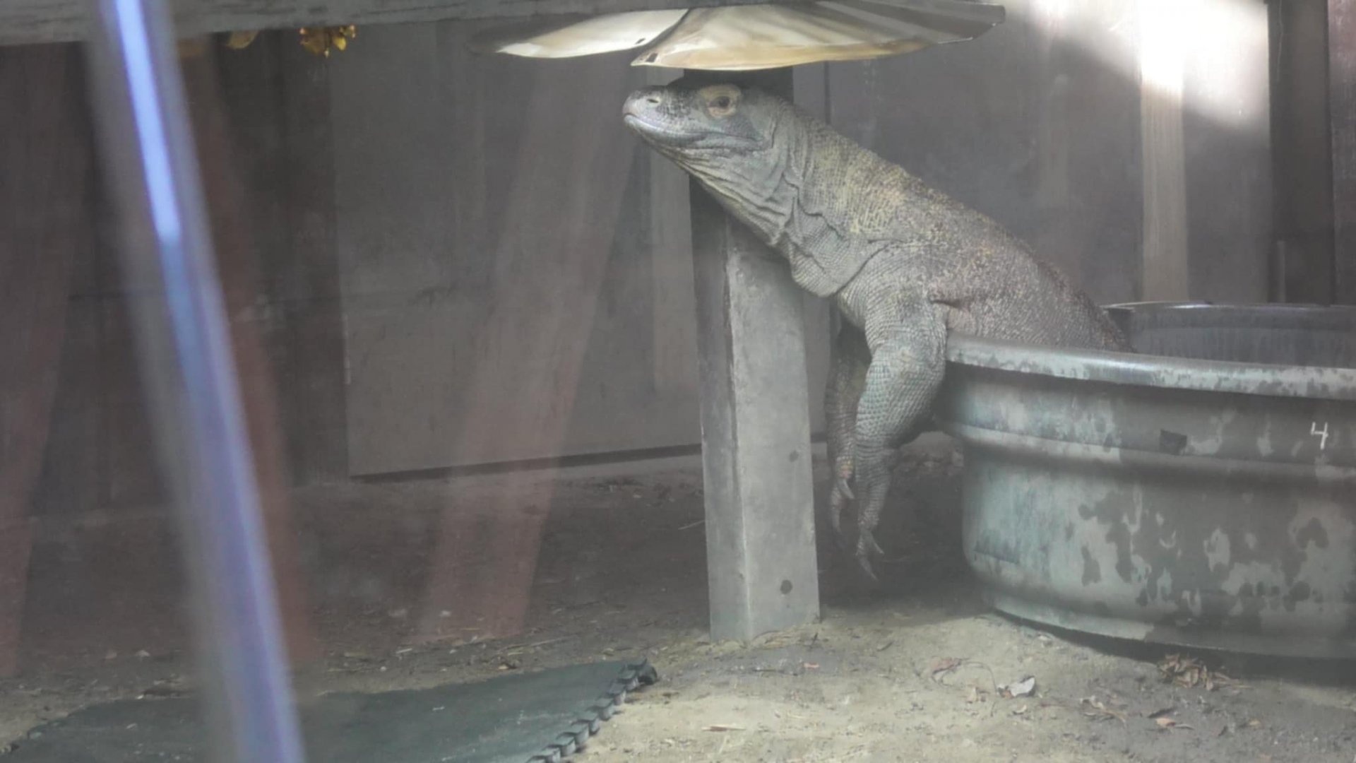 Look at me i got a new hat