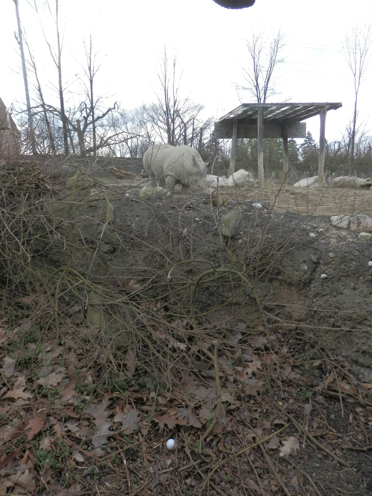 Look at the bottom of the picture