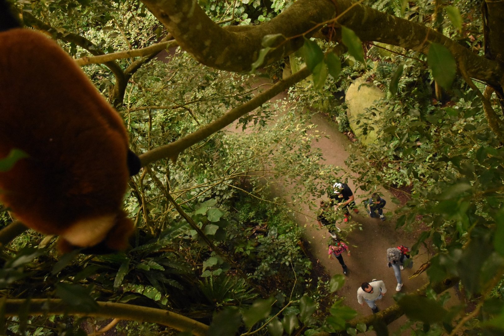 Look: ignorant visitors