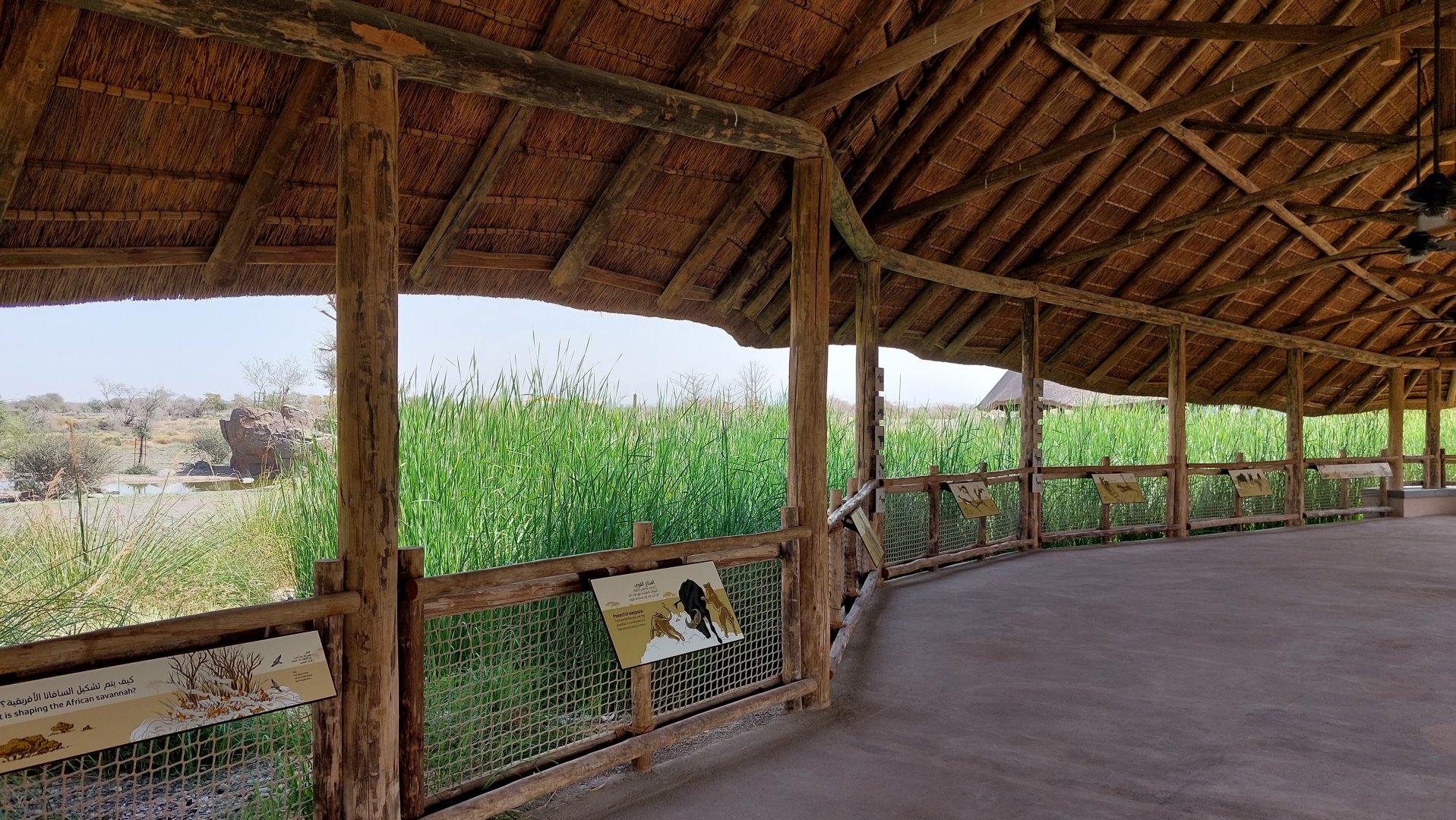 Look-out on Savanne area