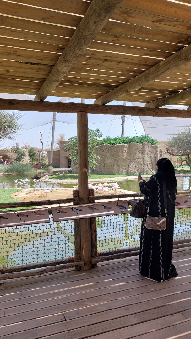 Look-out point on the flamingos