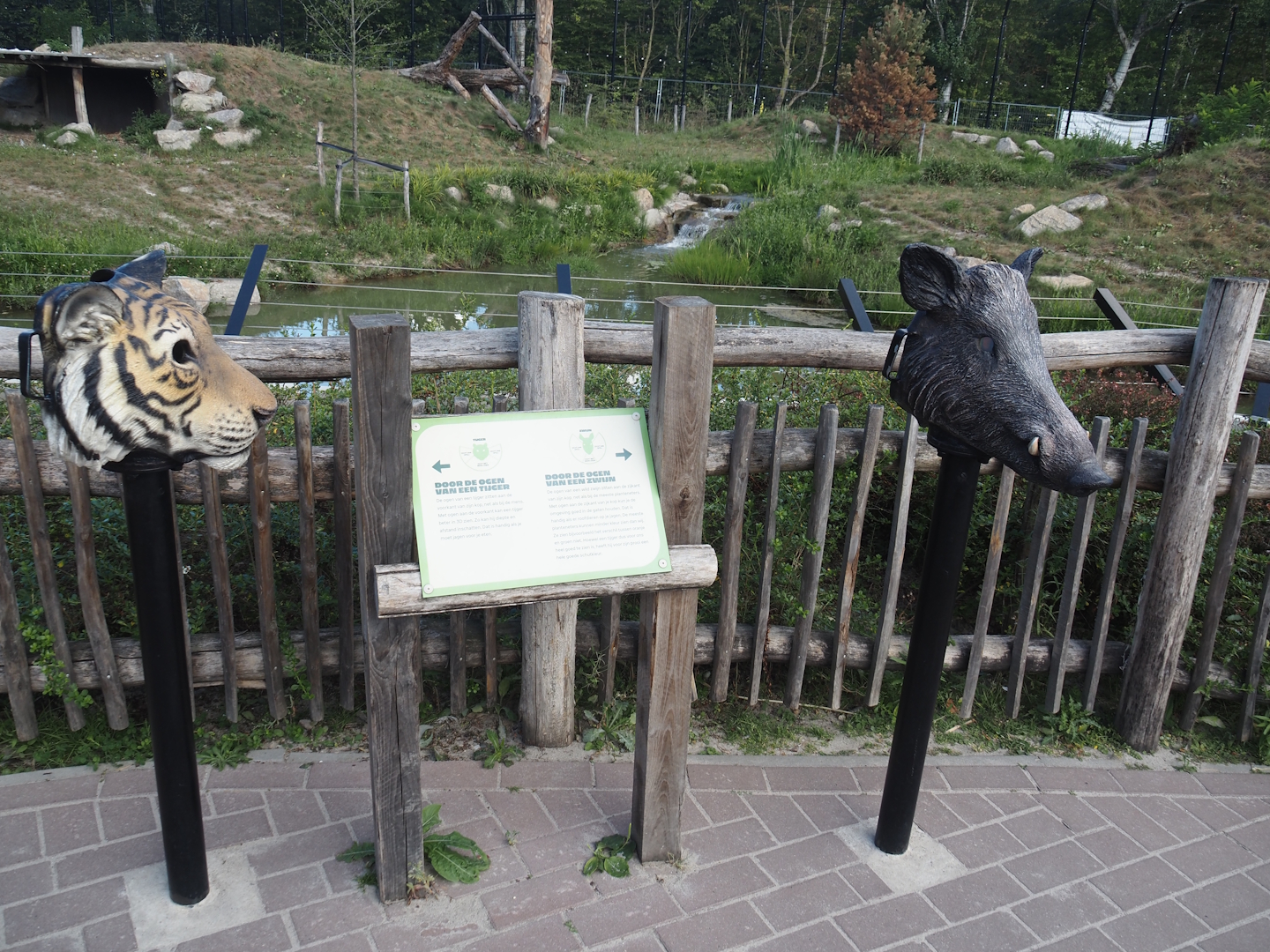 Look through the eyes of a tiger and a wild boar signage, 2025-08-24