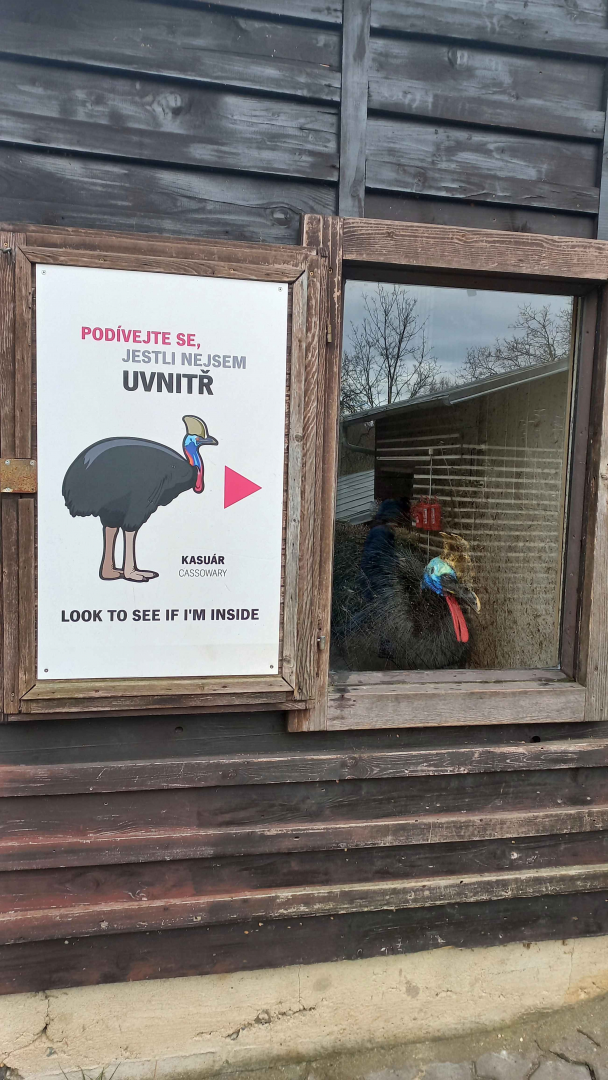 Look to see if I'm inside