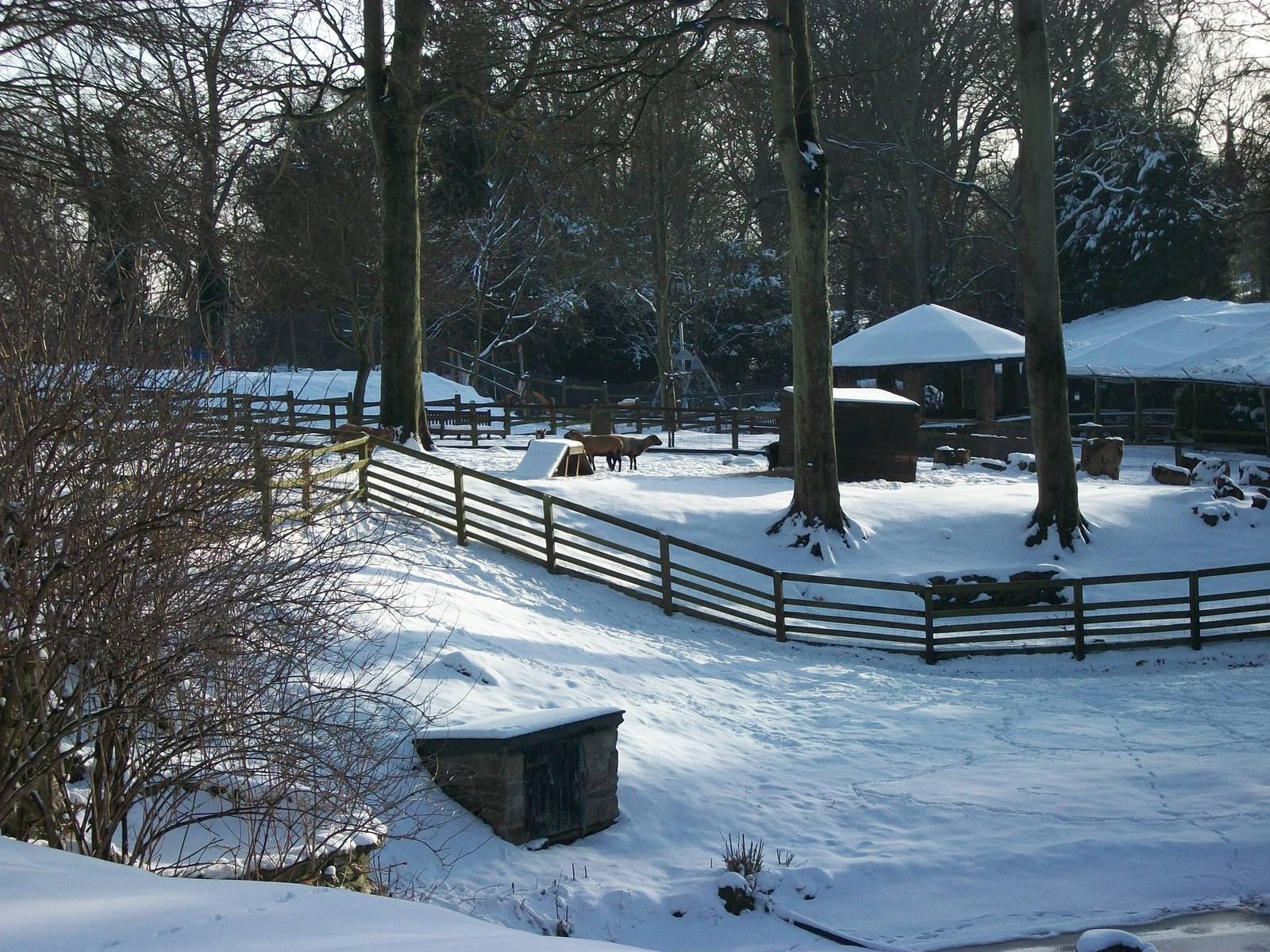 Looking across Sewerby Zoo 5th February 2012