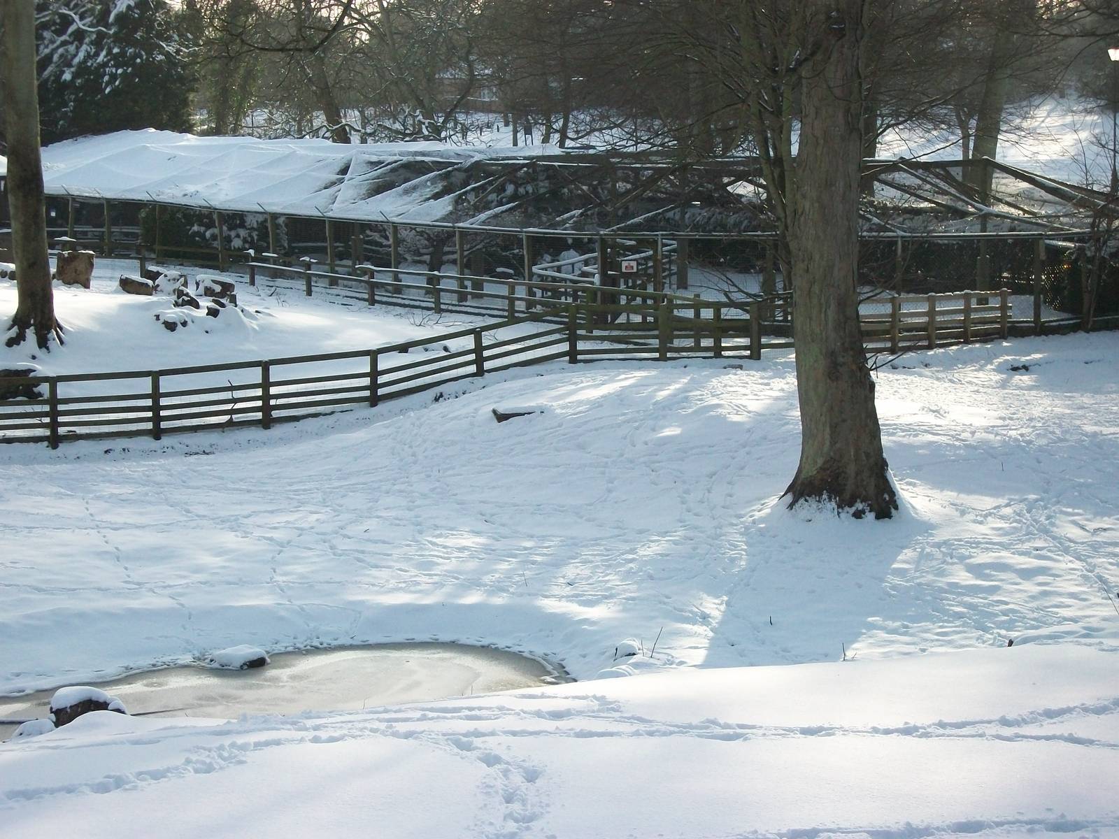 Looking across Sewerby Zoo 5th February 2012