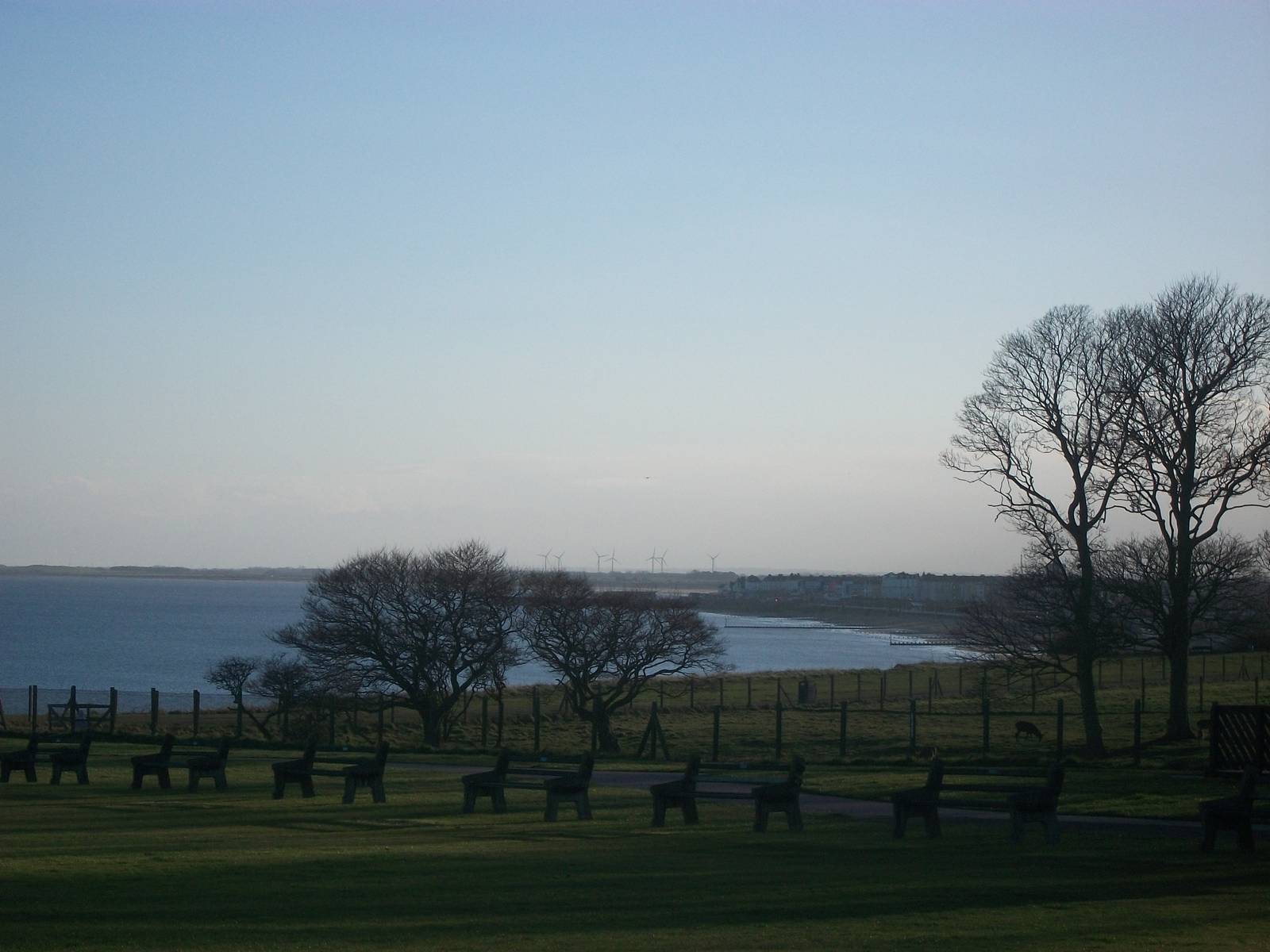 Looking across the cricket ground at the clifftop paddock, 23rd March 2014