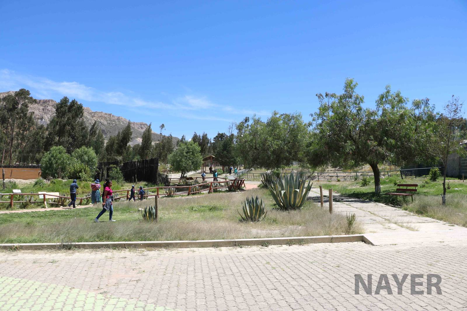 Looking across the grounds, March 2016