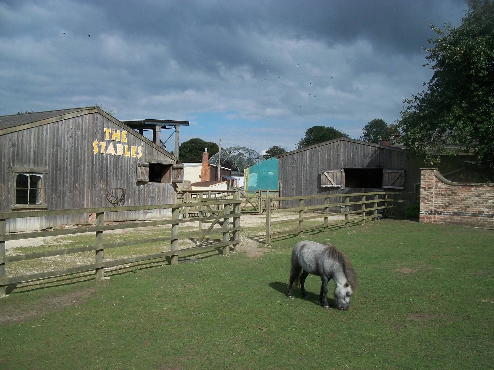 Looking across the historic centre of the zoo, 1st September 2014