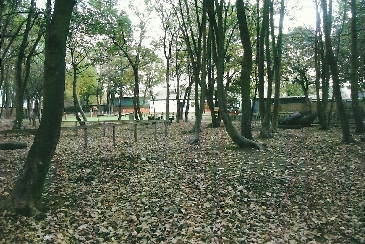 Looking across the original area of the park, 1st November 2013