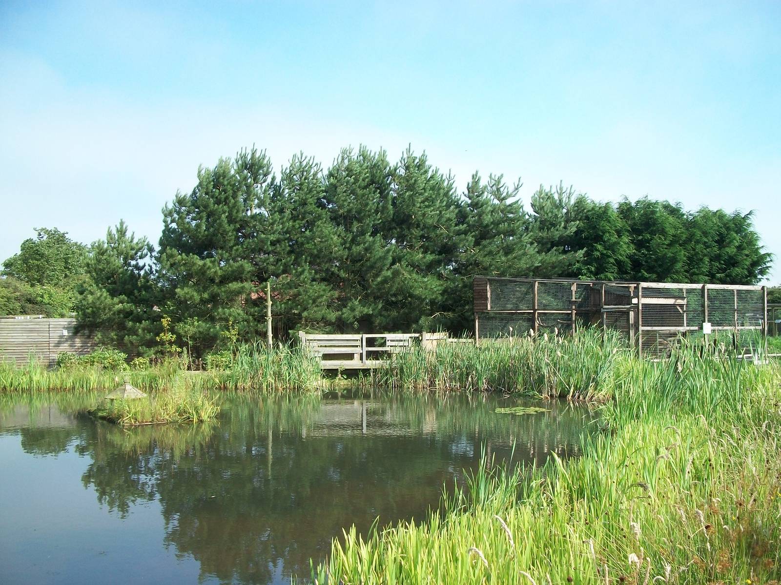 Looking across the Wildlife Pond, 24th July 2014
