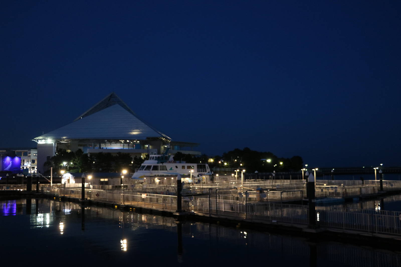 Looking across Umi Farm, February 2016