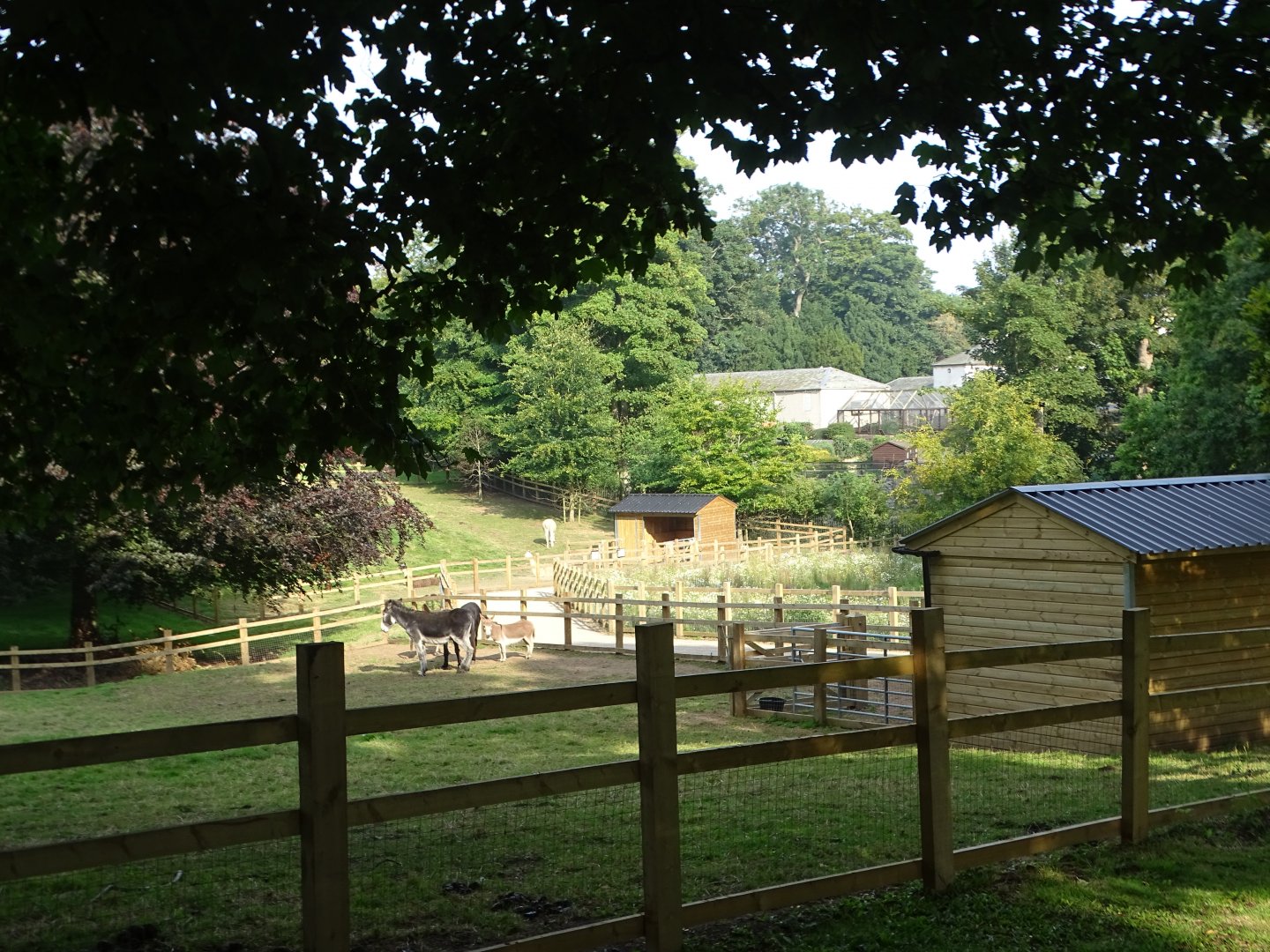 Looking across zoo extension to main body of zoo beyond, 2nd August 2024
