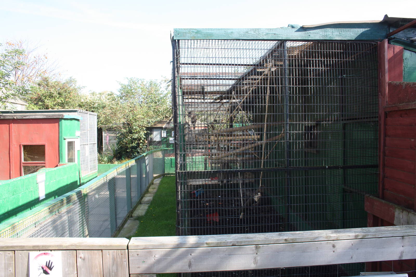 Looking back at the Capuchin exhibit, 23rd September 2014