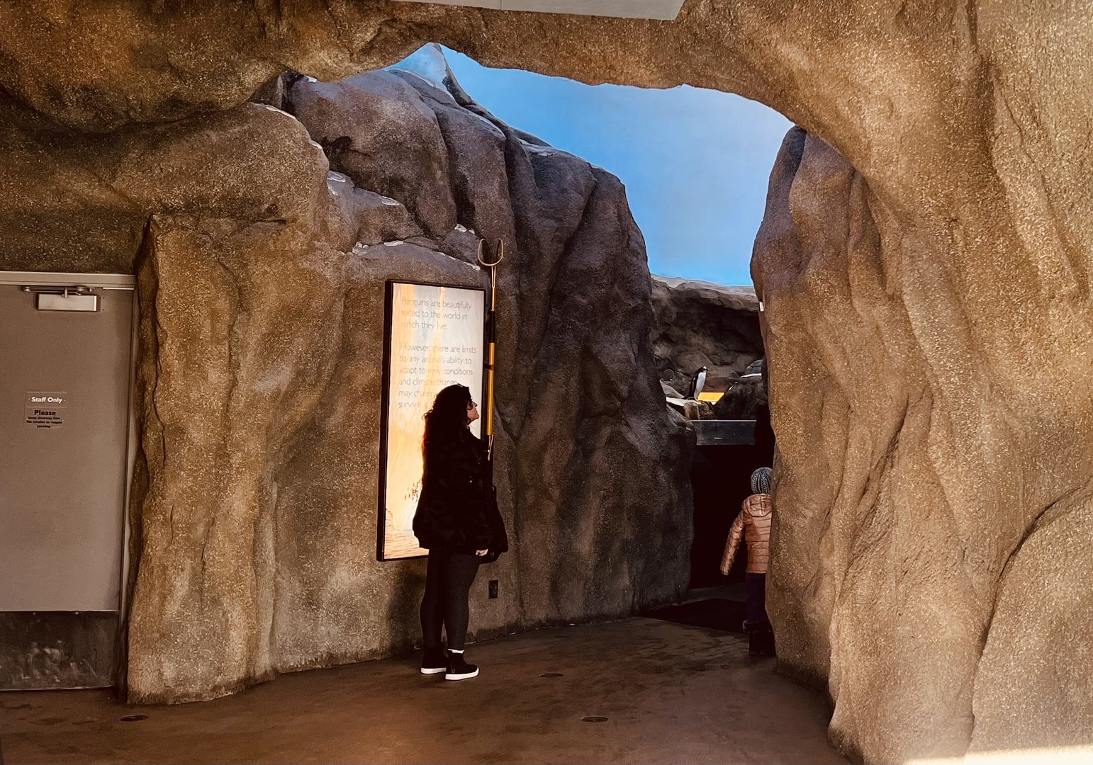 Looking back at the exhibit