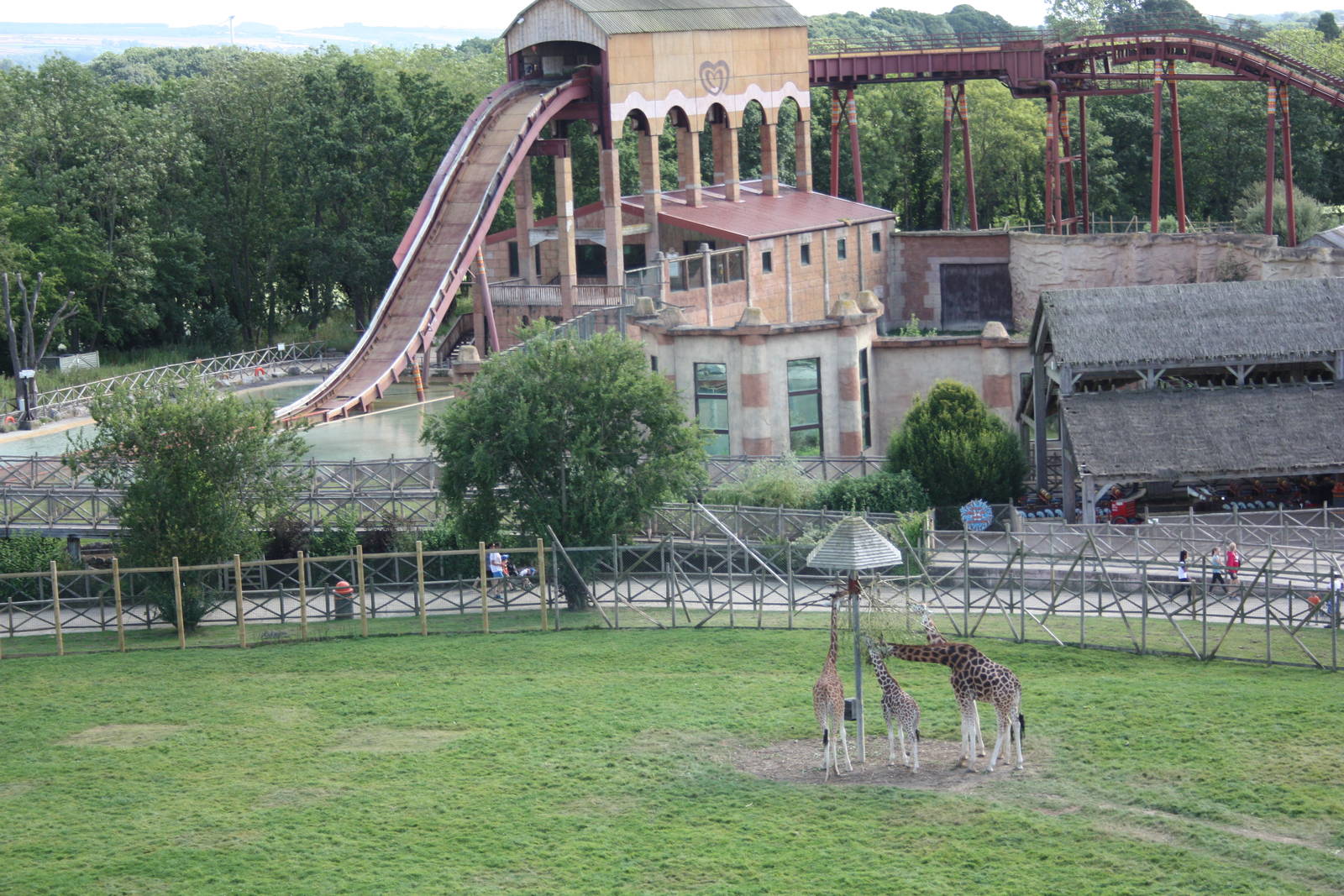 Looking back at the Lion House, 4th August 2014