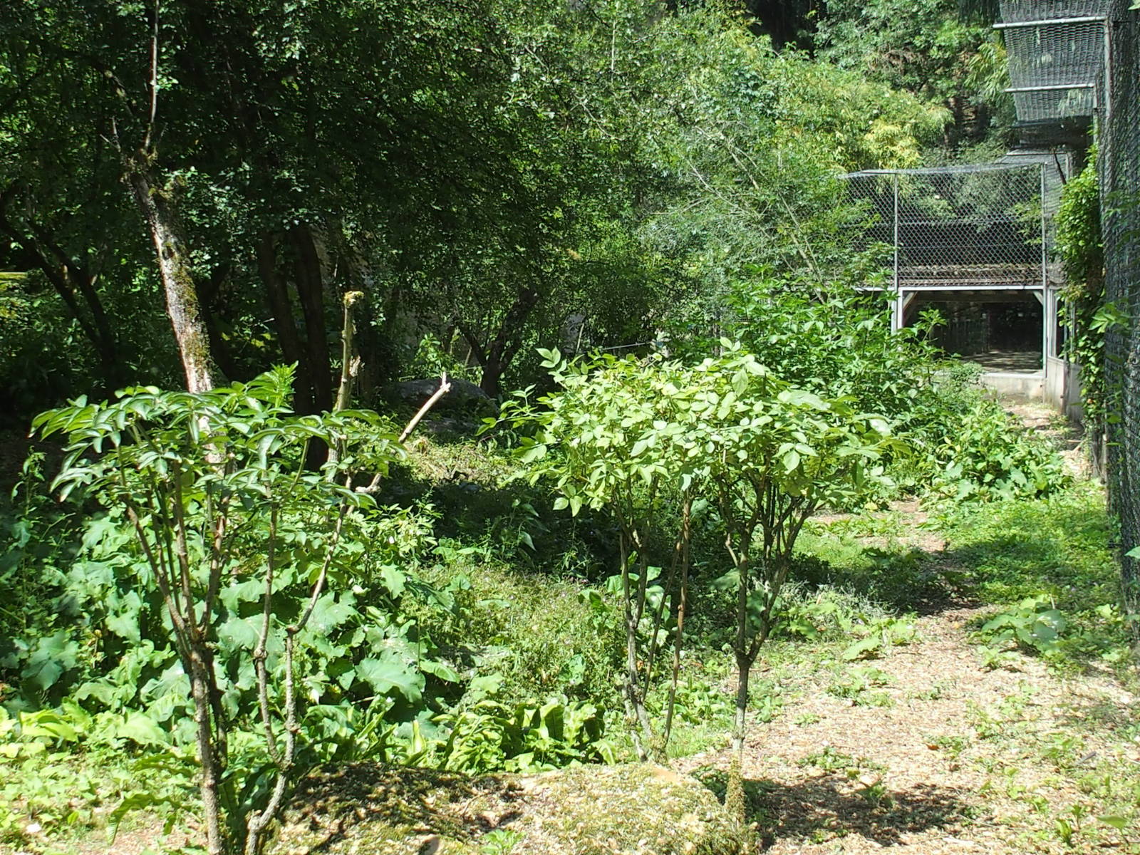 looking back to viewing window.
