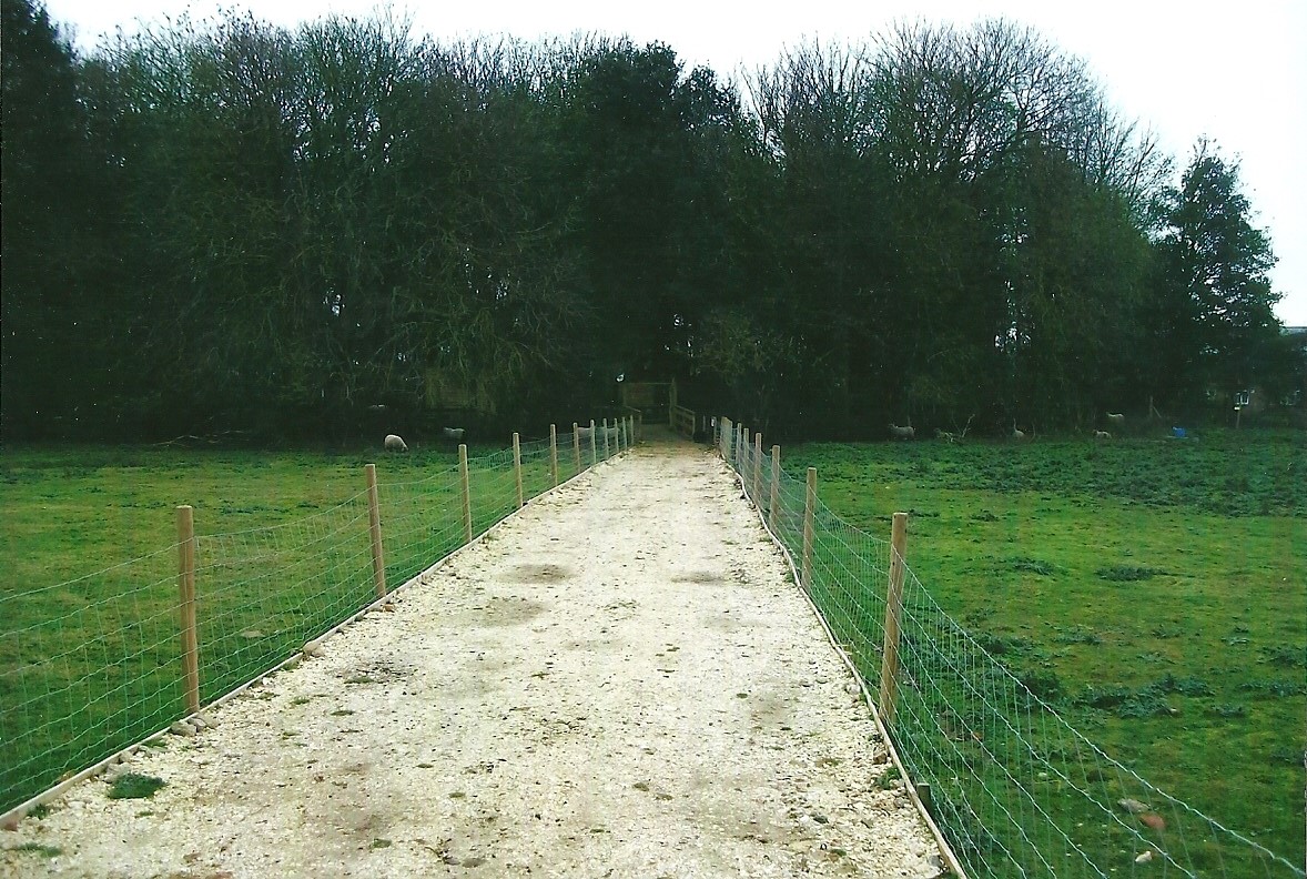 Looking back towards the original area, 1st November 2013