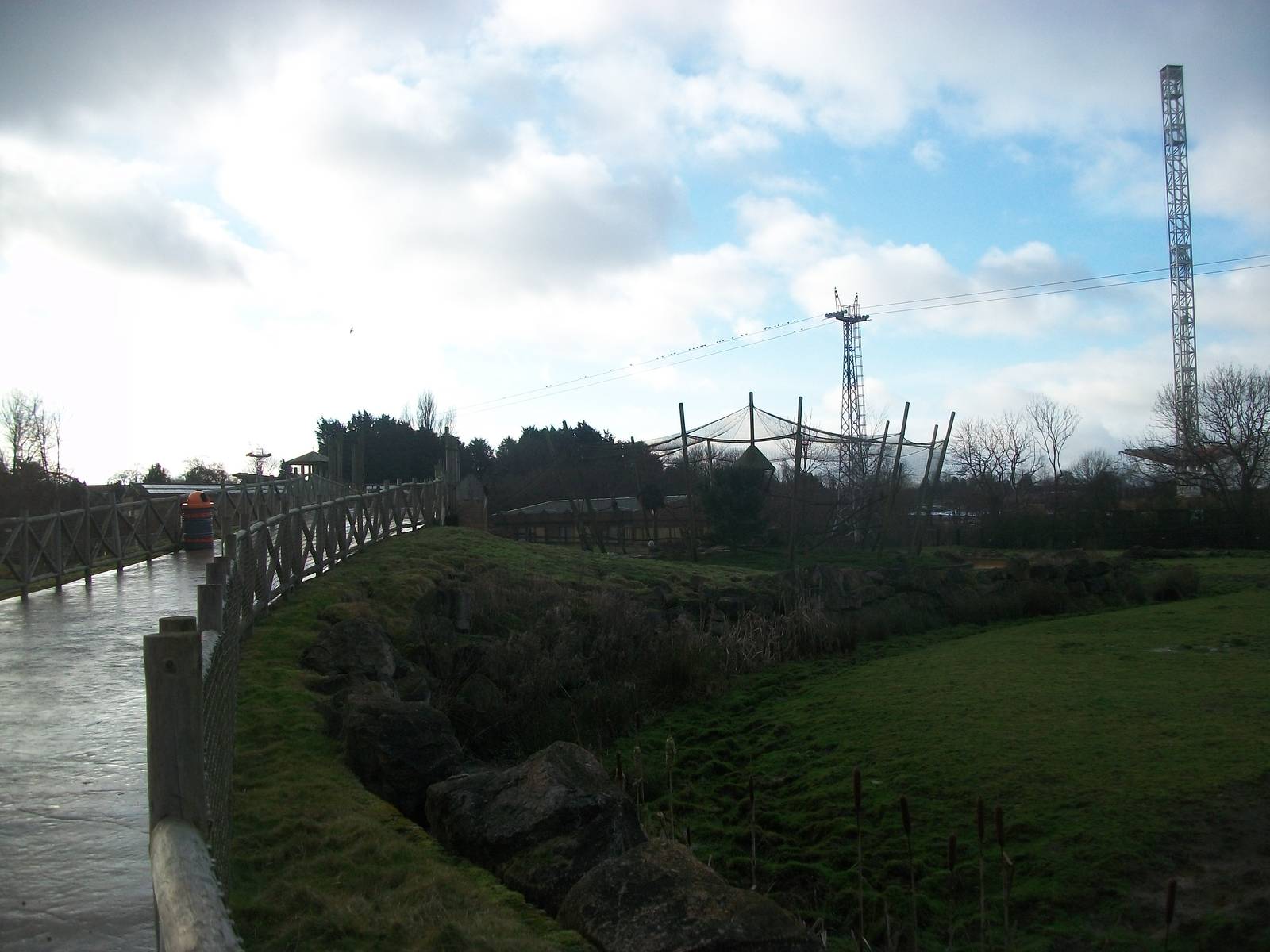 Looking back towards the wading birds aviary 4th January 2013