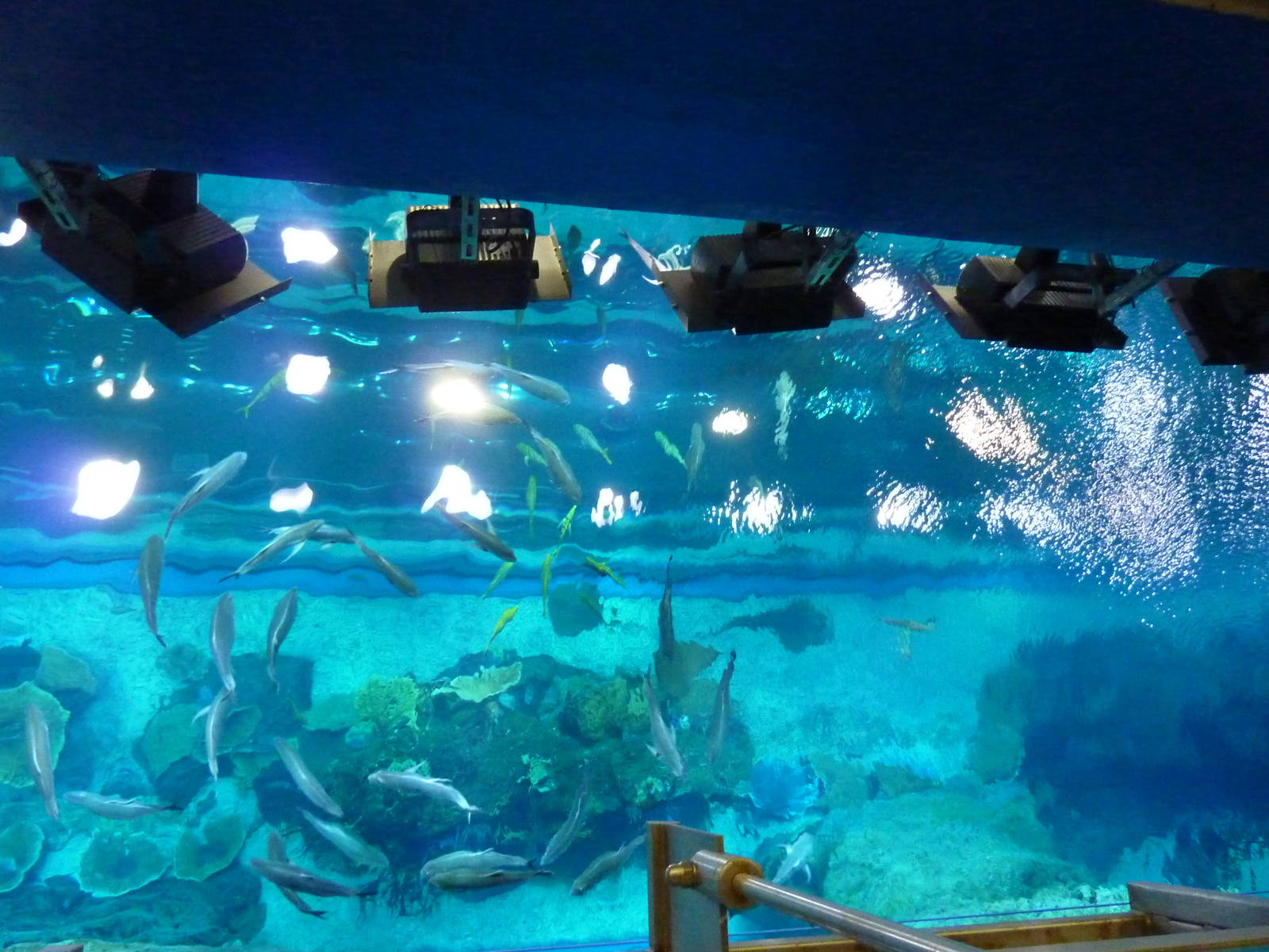 Looking down into the main tank