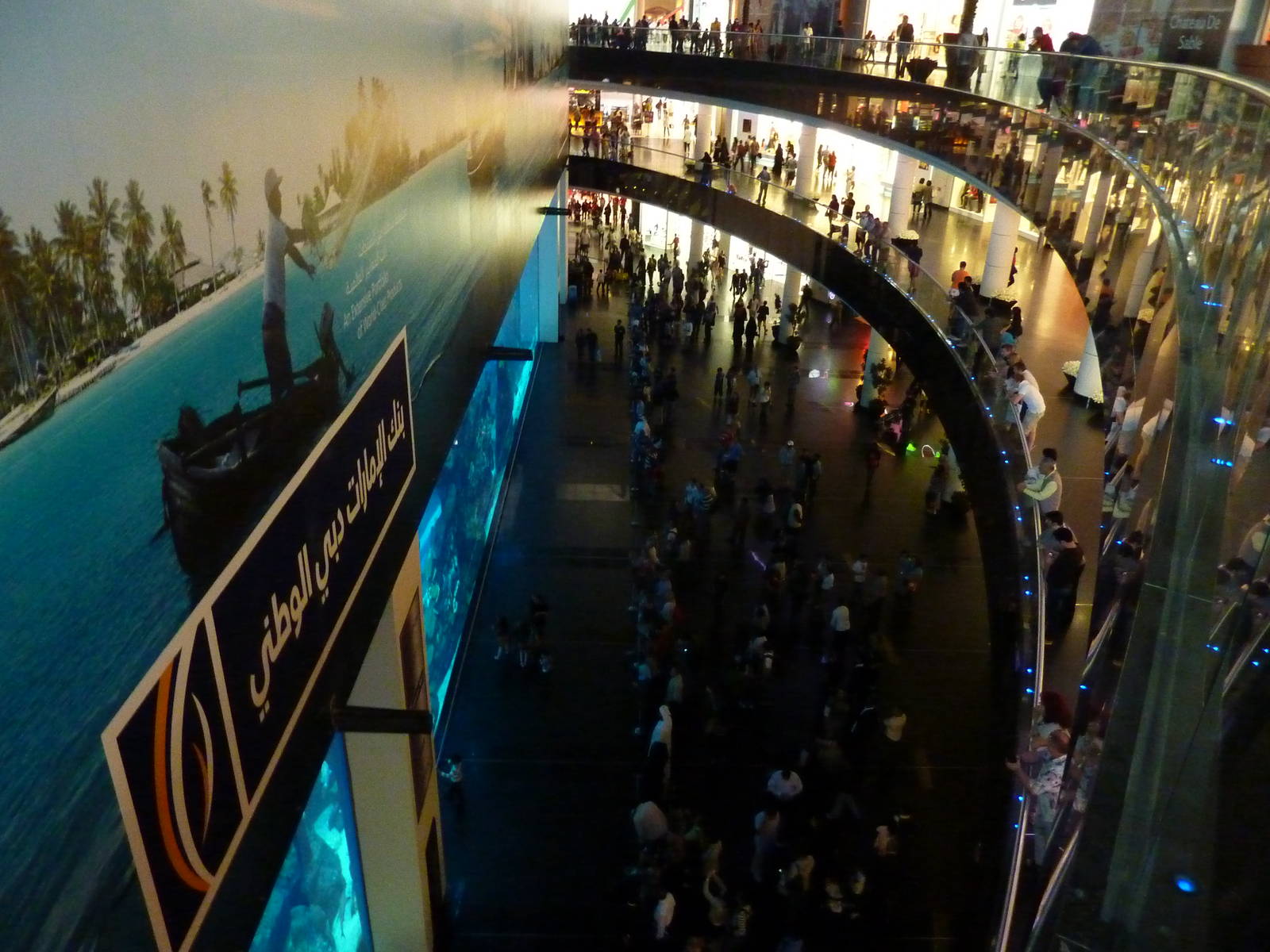 Looking down on main viewing area