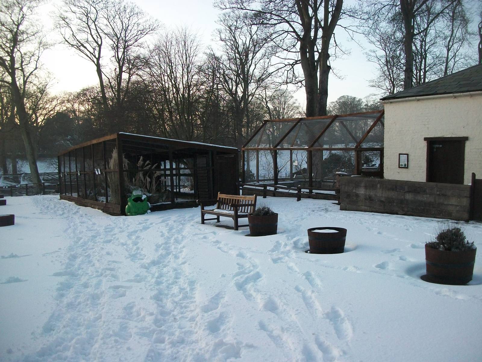 Looking down Sewerby Zoo 5th February 2012
