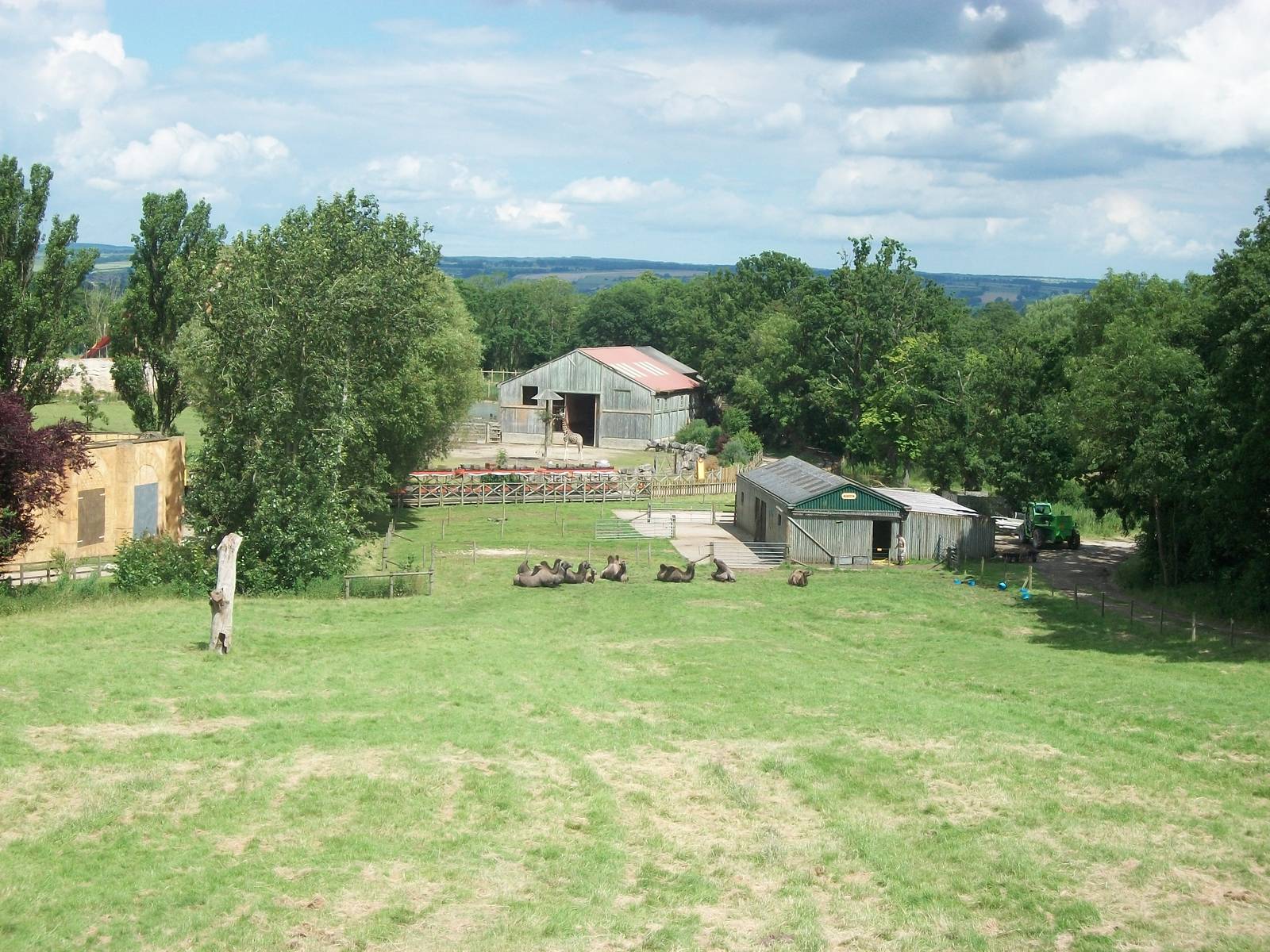 Looking down the Camel paddock, 7th July 2014