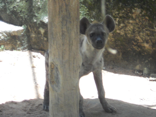 Looking for a friend