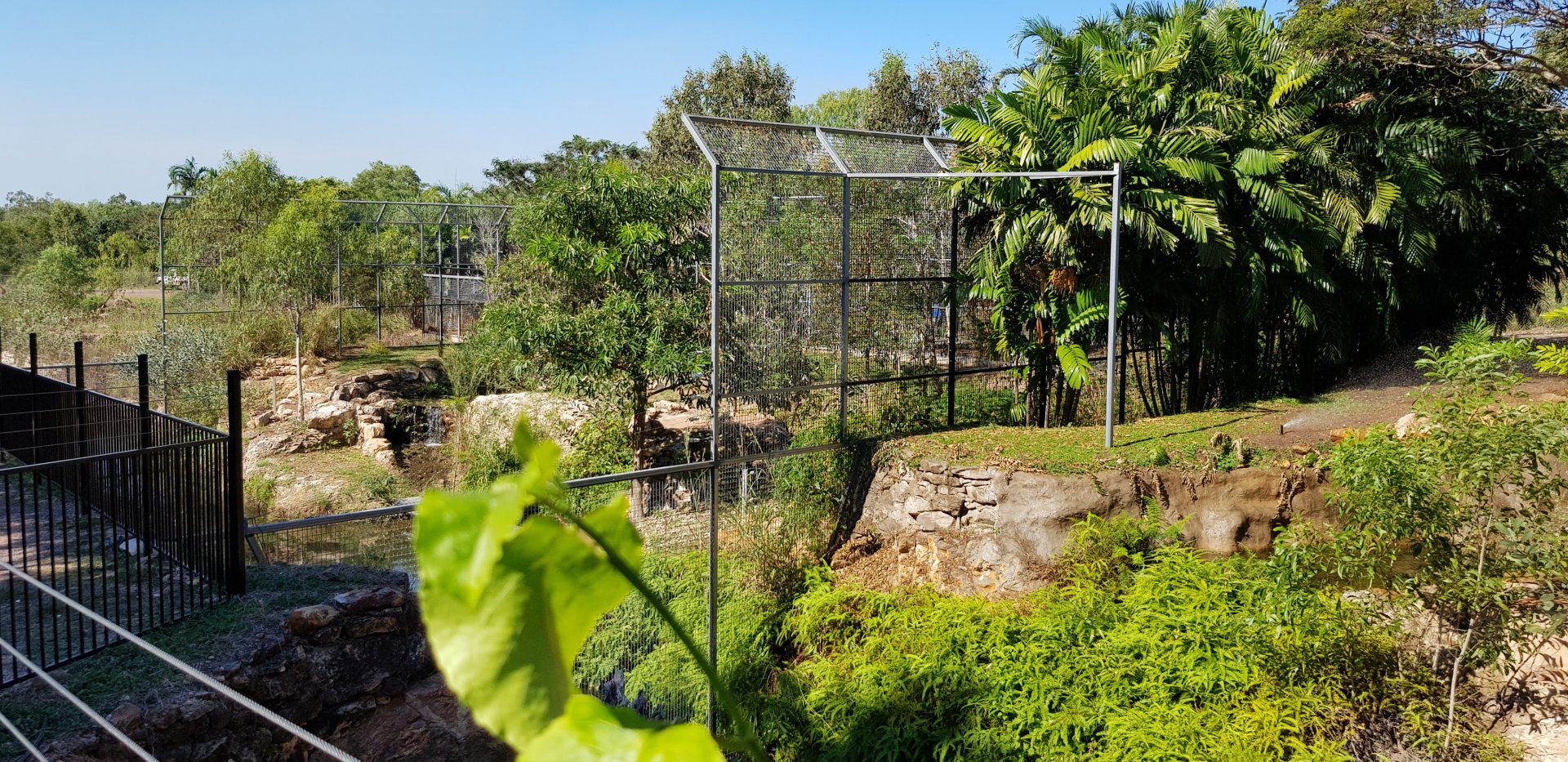 looking from the waterfall towards the White Lions
