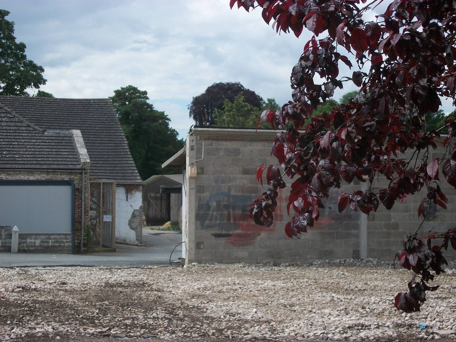 Looking into the Keepers' Yard, 7th July 2014