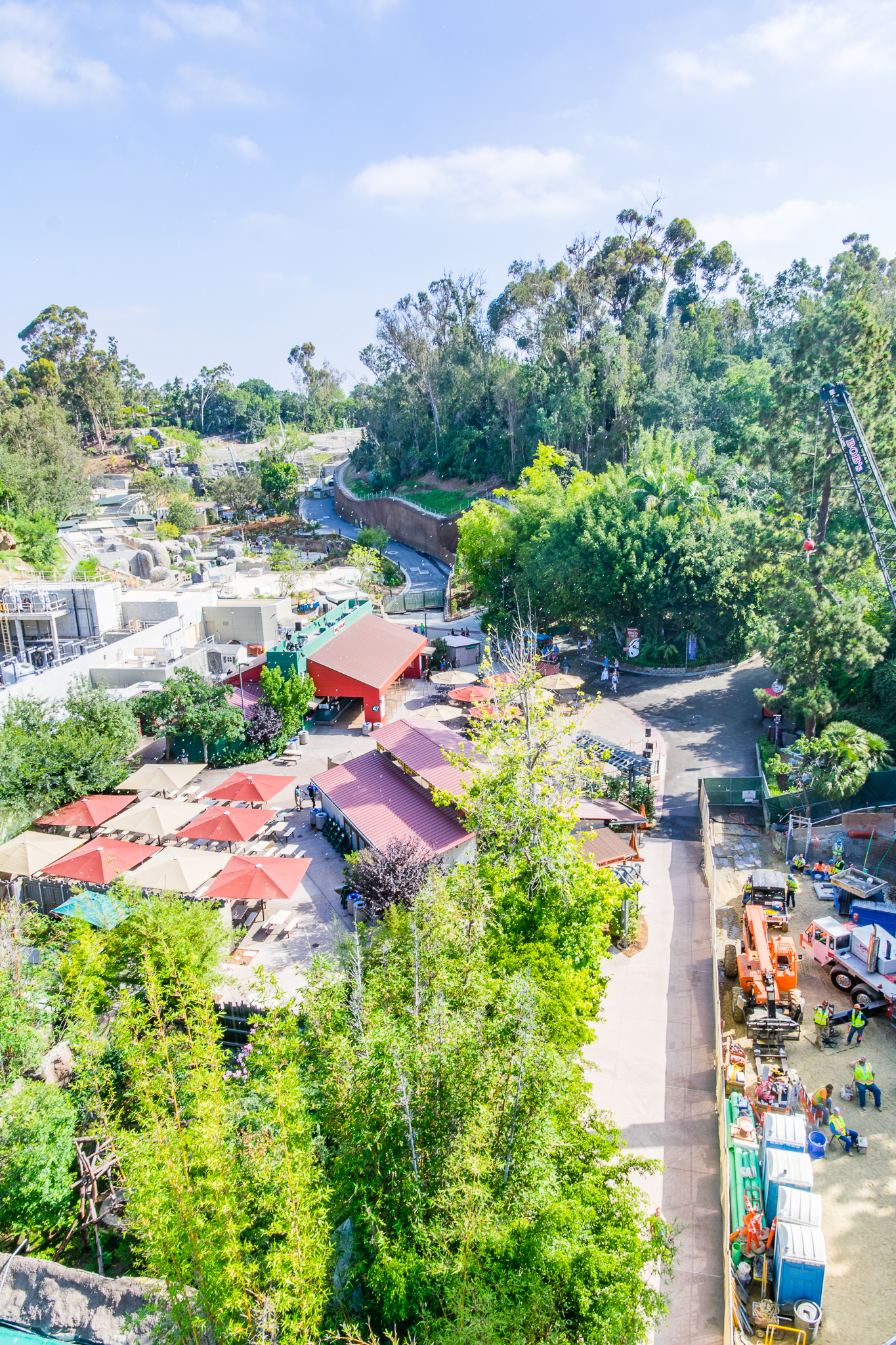 Looking North from the Bridge