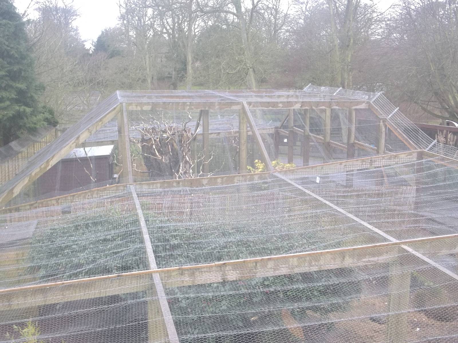 Looking out over a damp Lemur Land, 22nd February 2015