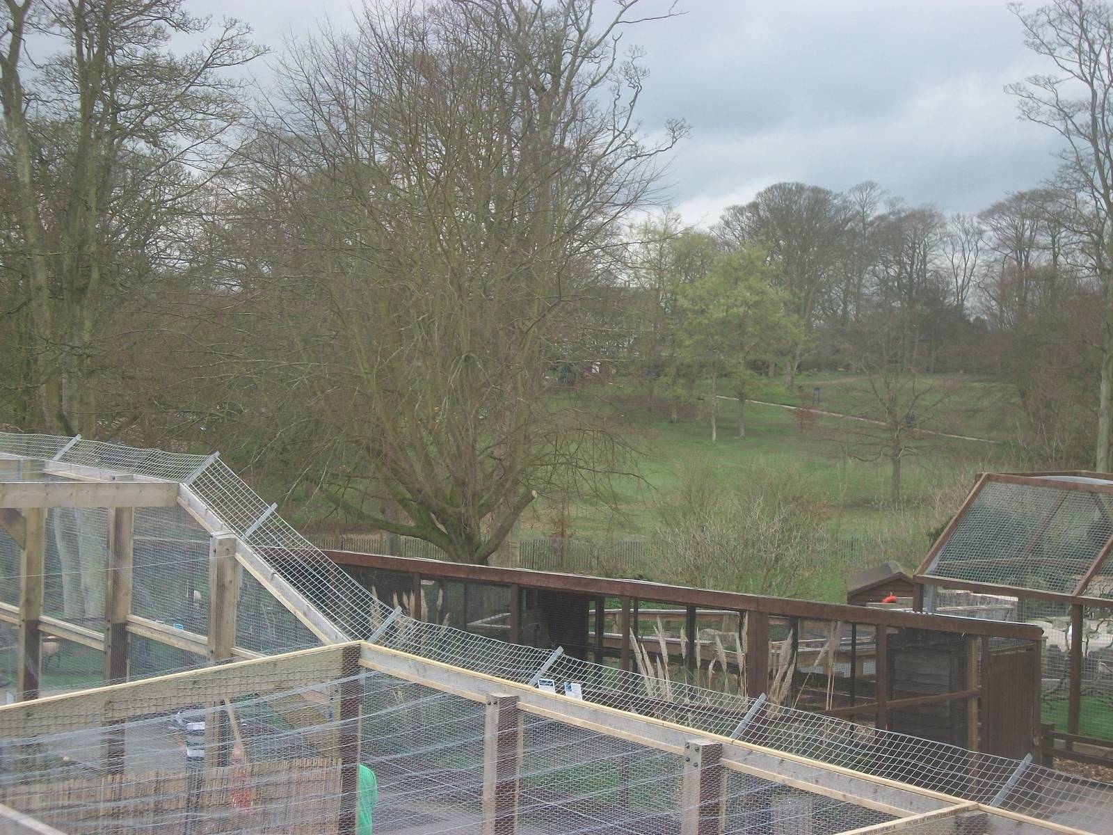 Looking out over the zoo, 6th April 2014