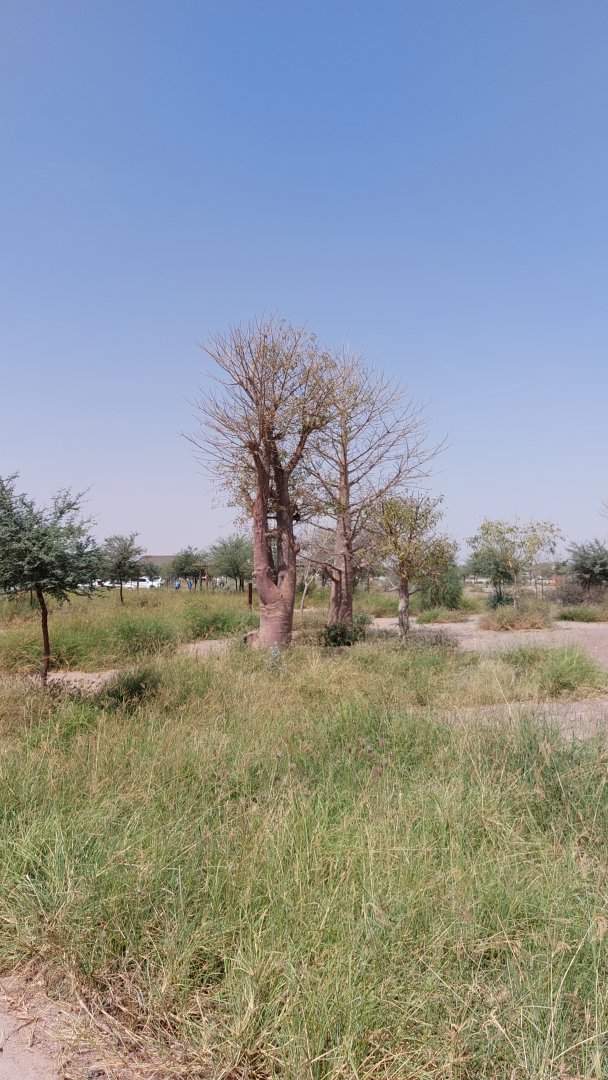 Looking out to the parking lots