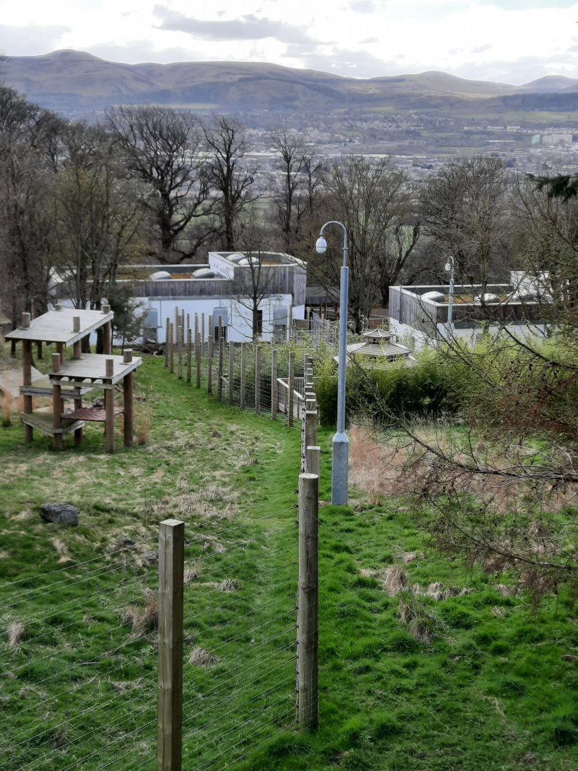 Looking over the giant panda complex