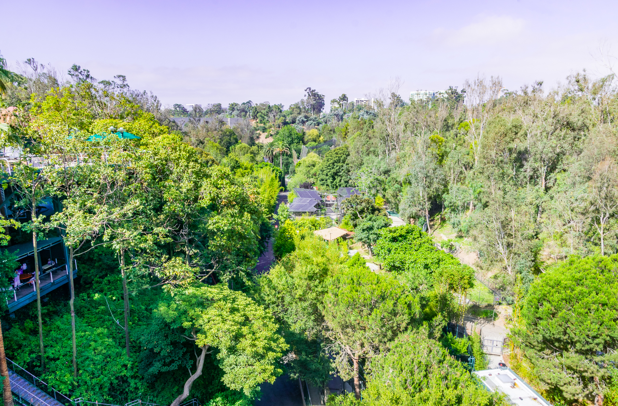 Looking South from the Bridge