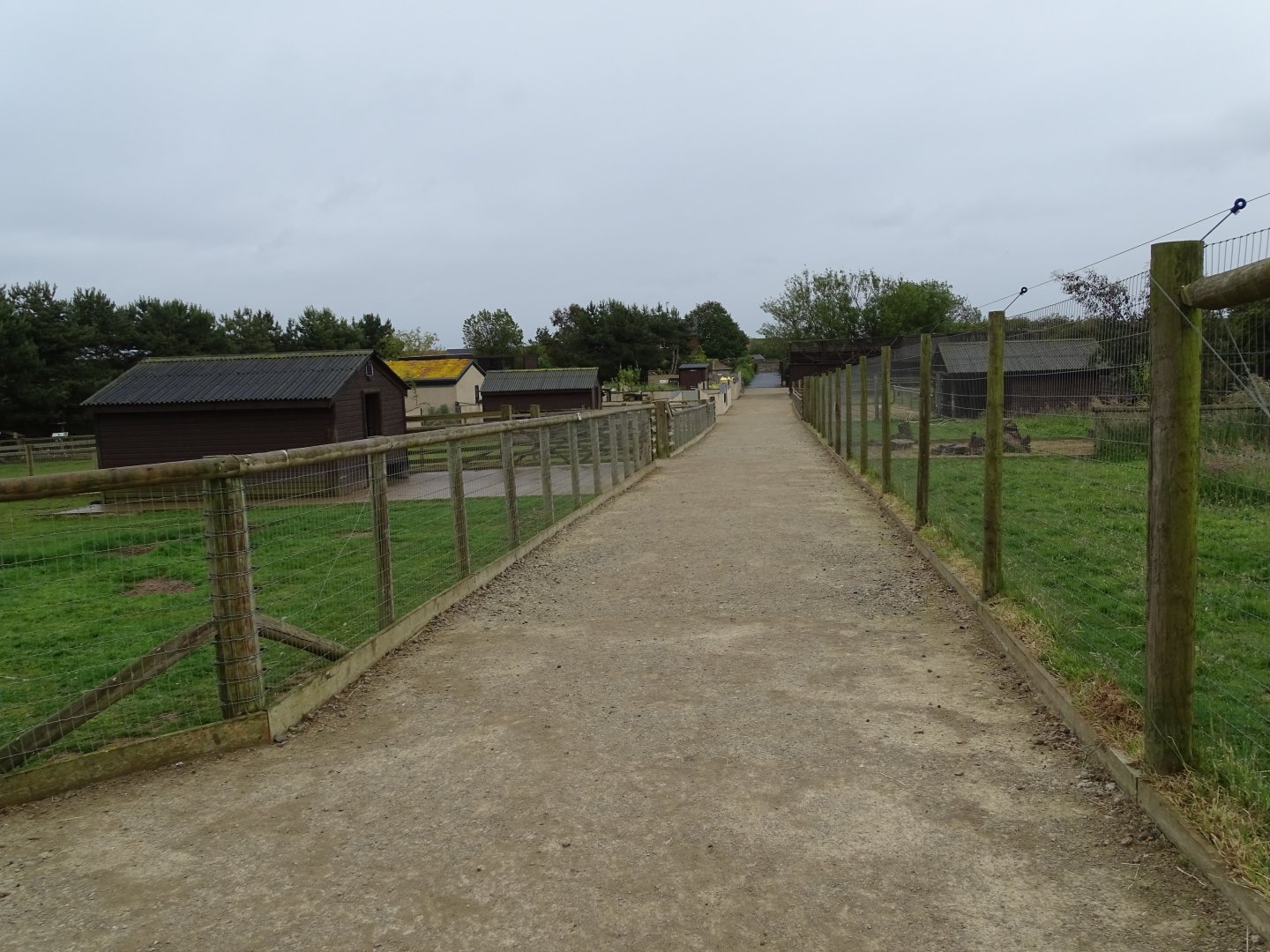 Looking southwards from the paddocks area of the park, 1st July 2024