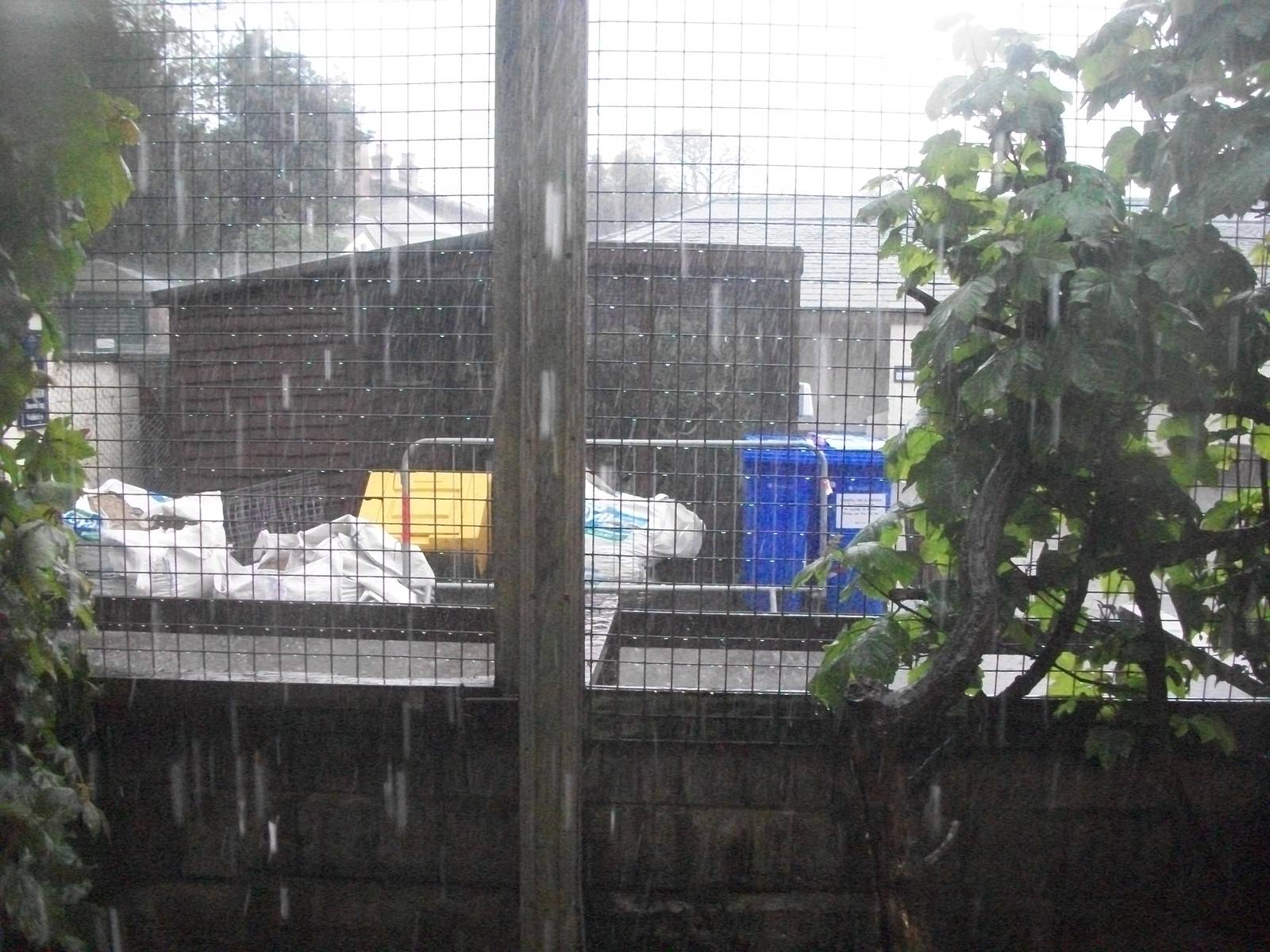 Looking through the zoo kitchen window, 10th May 2014