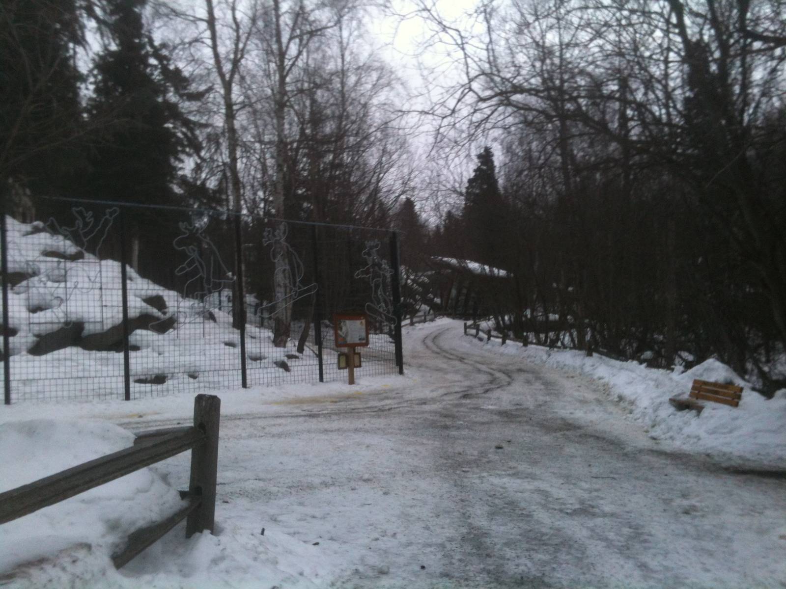 Looking towards Dall Sheep/Snow Leopard/Brown Bear Exhibits