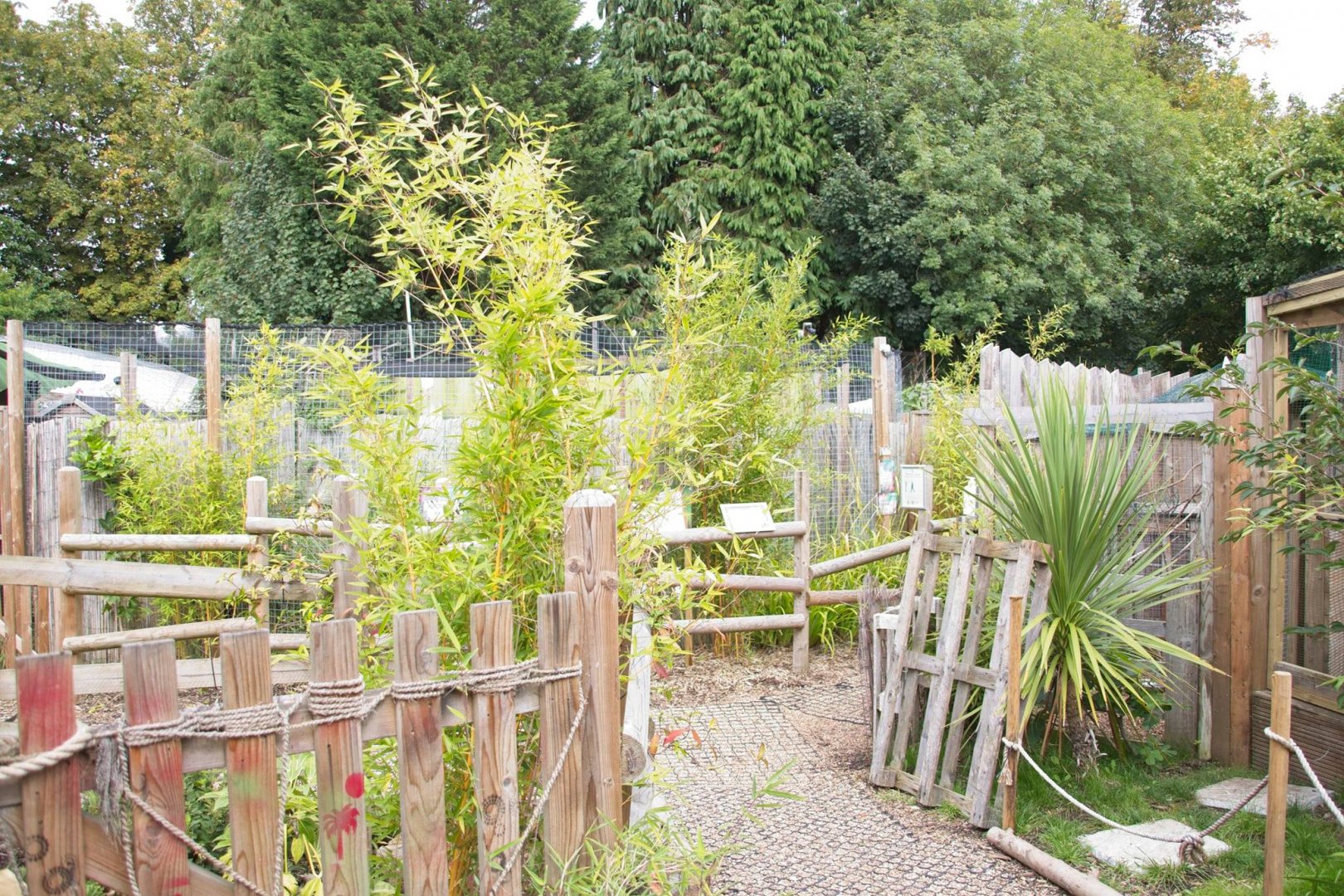 Looking towards Geoffroy's cat enclosure.