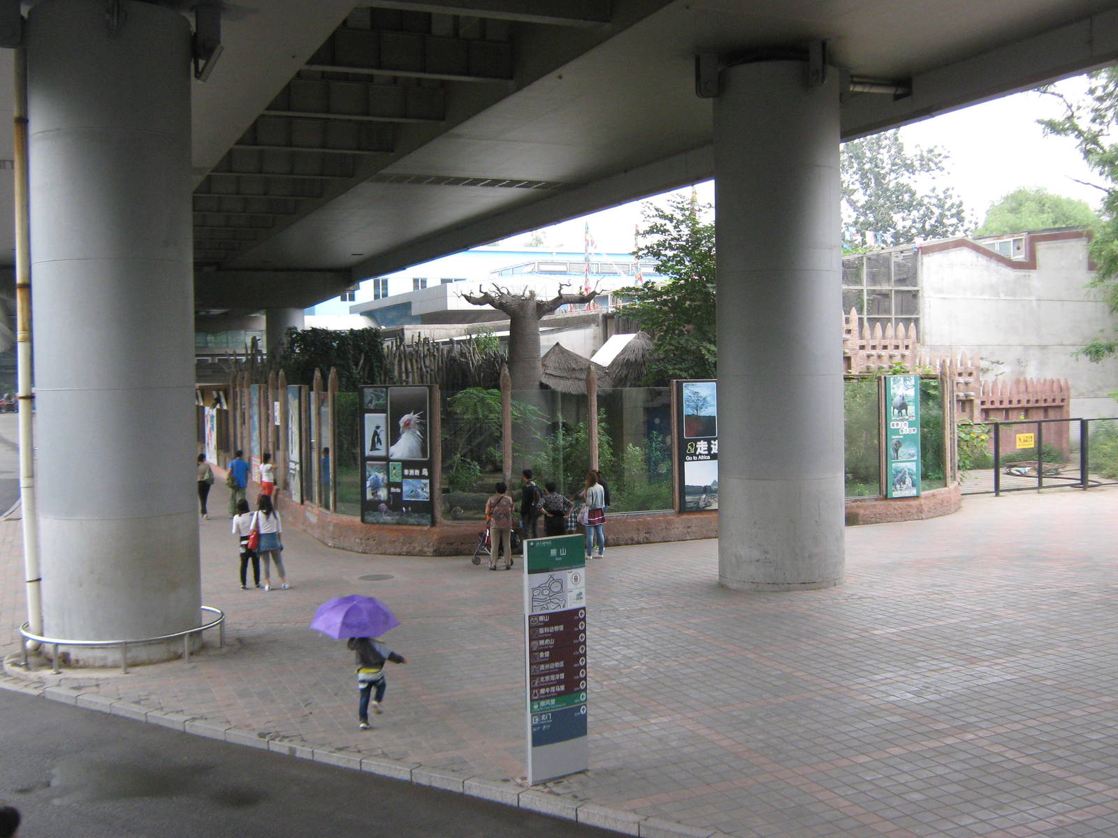 looking towards the cheetah enclosure