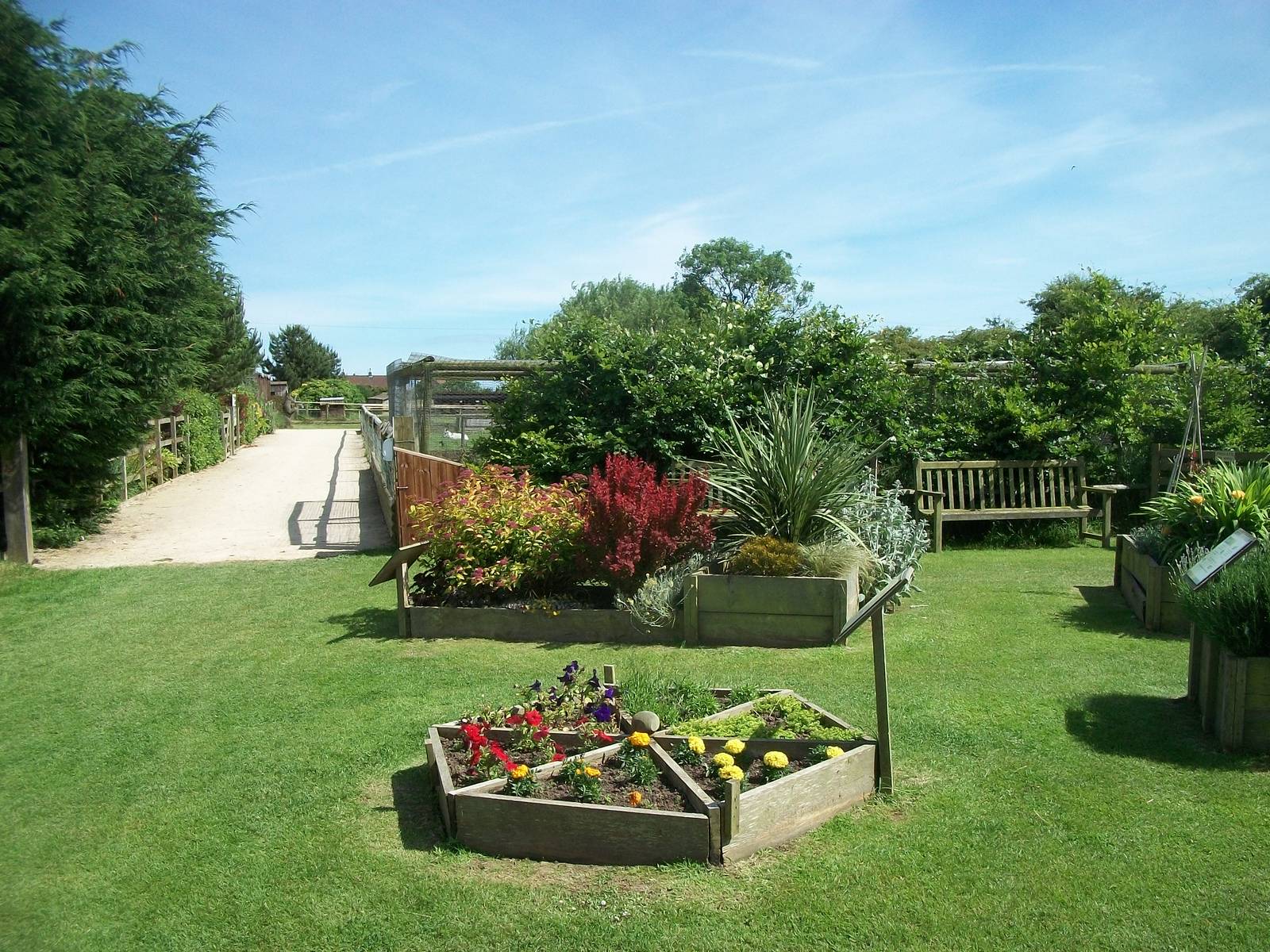 Looking towards the Pheasant and Duck Aviaries, 19th June 2014