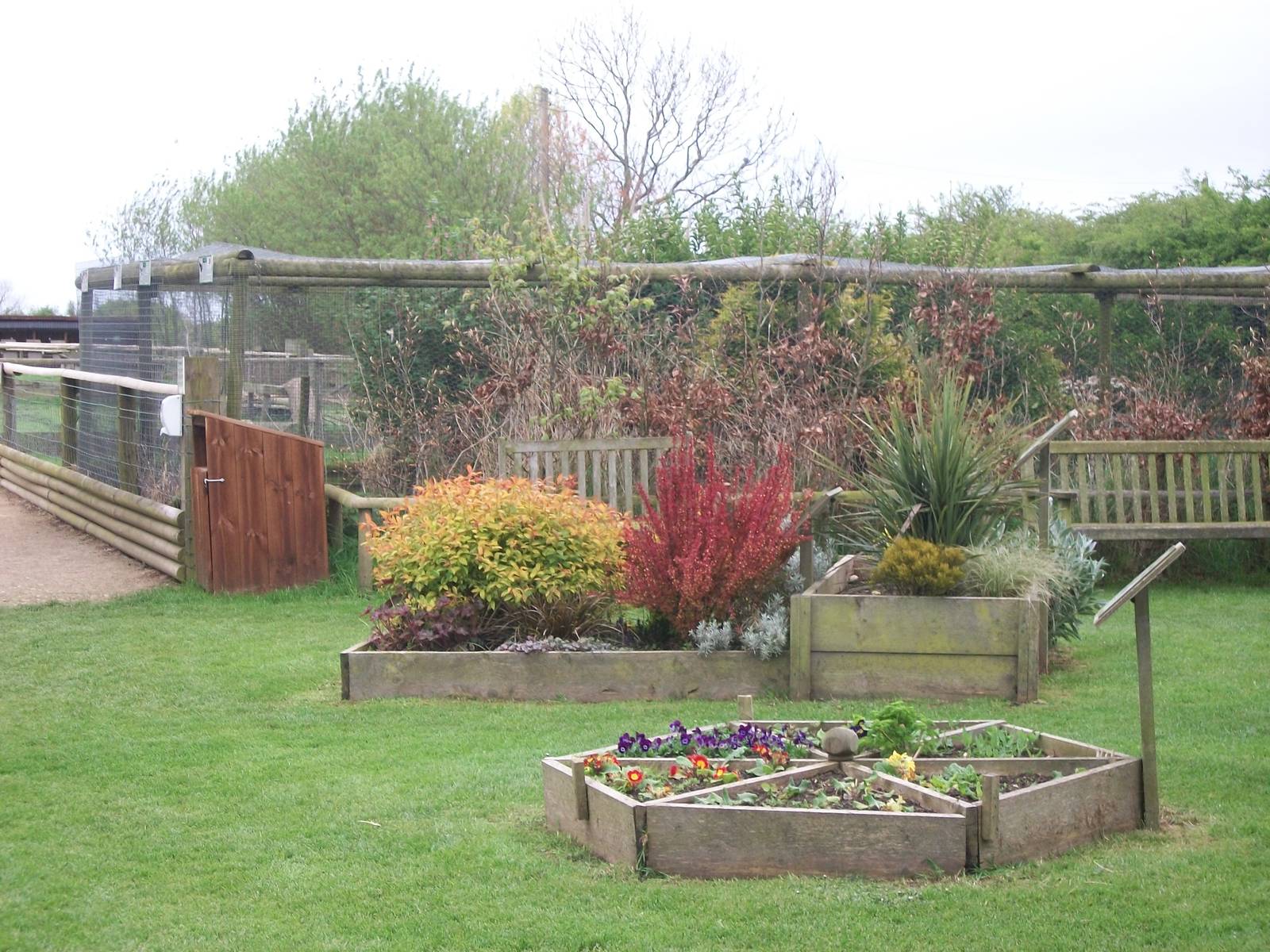 Looking towards the pheasant and duck aviaries, 1st May 2014