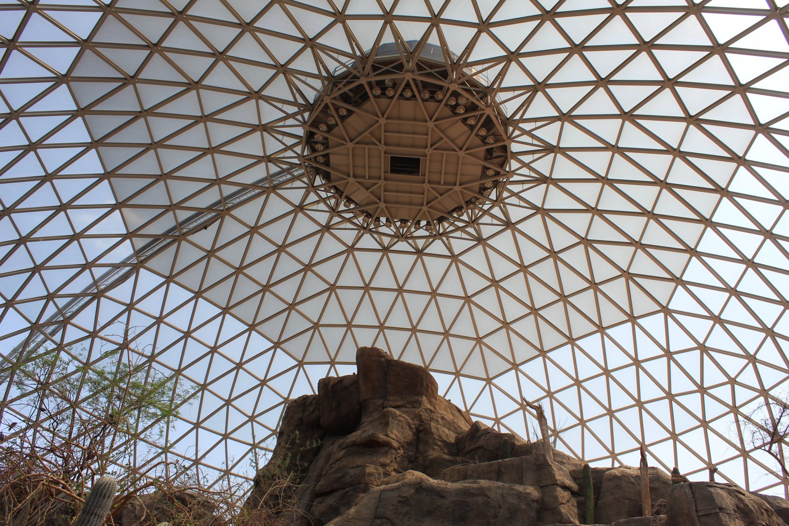 Looking Up - Desert Dome